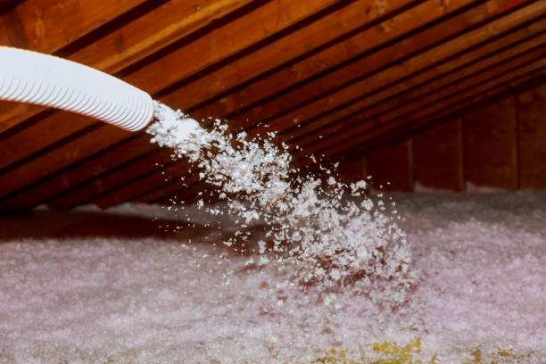 Best Fiberglass Insulation  in Forest Acres, SC