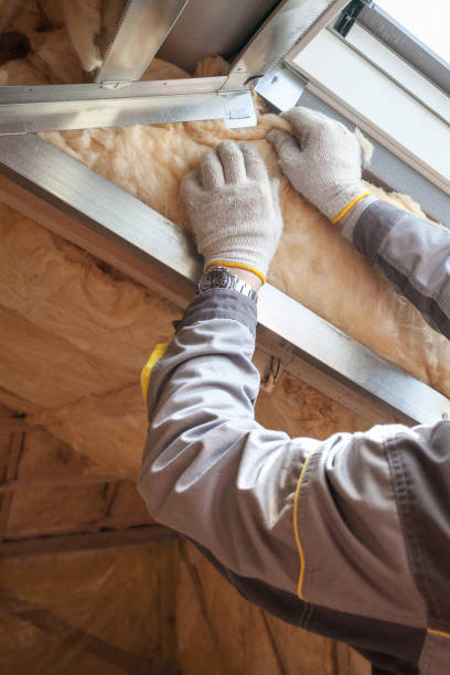 Best Insulation Contractor Near Me  in Forest Acres, SC