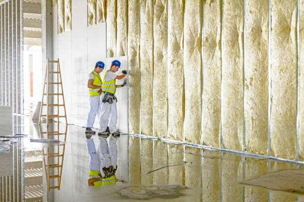 Best Insulation Contractors for Homes  in Forest Acres, SC